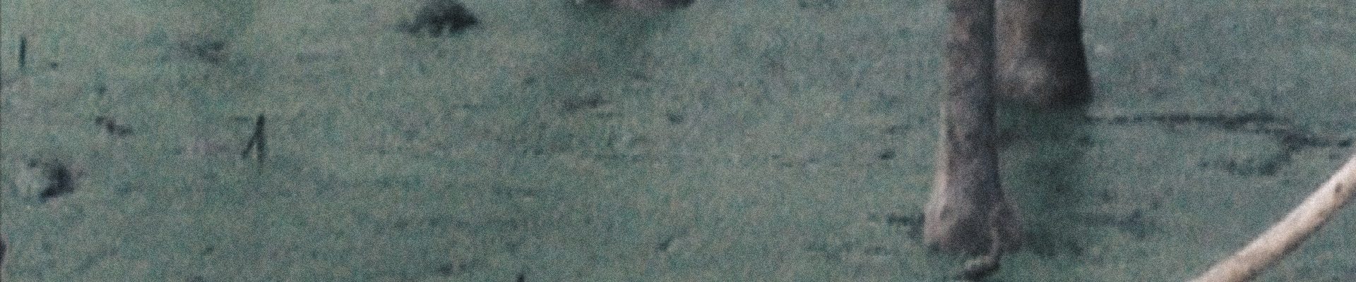 Image2